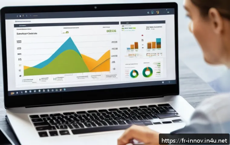 혁신경영 프로젝트 예산 관리 관련 이미지 1